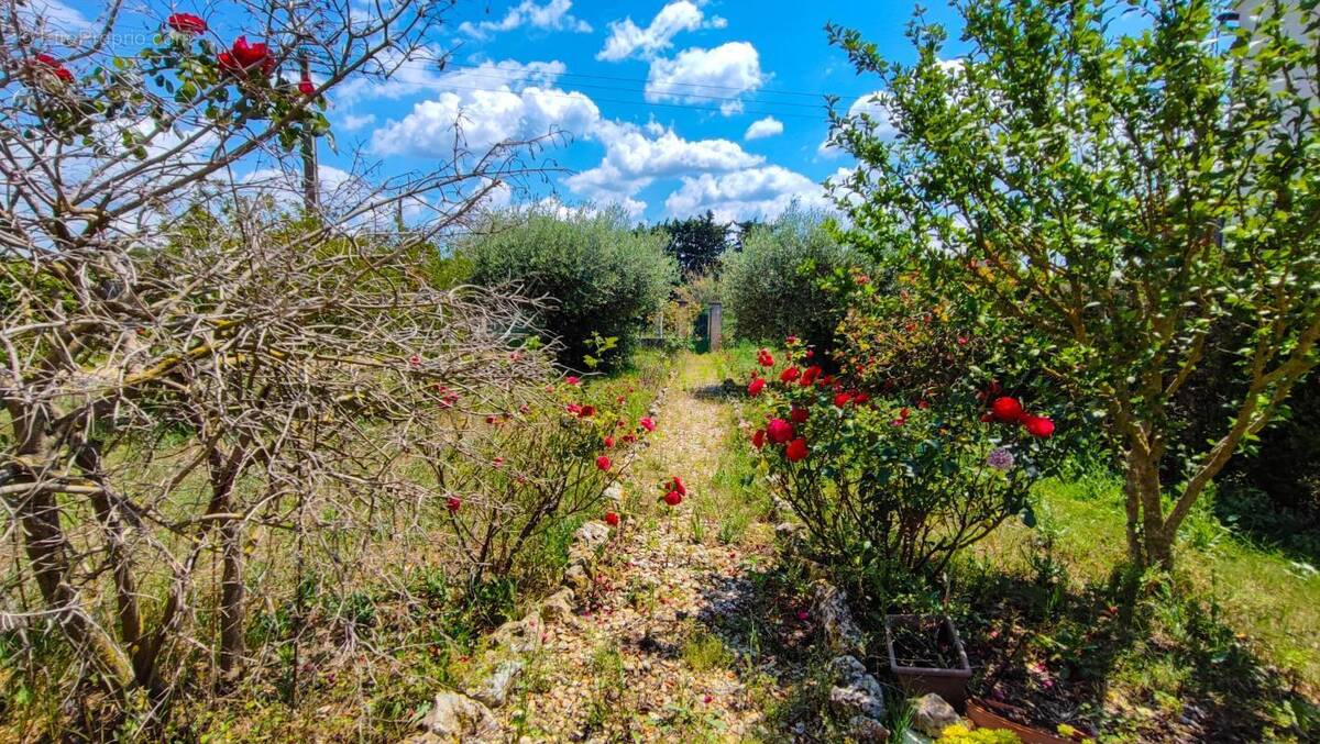 Maison à SAINT-QUENTIN-LA-POTERIE