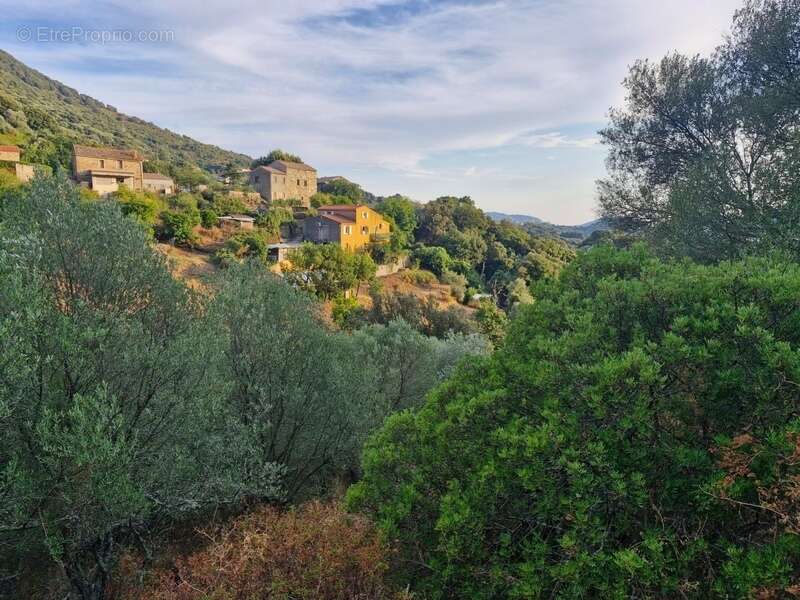 Propriano-Corse du Sud Maison 9 pièces de 170 m2 - photo 5
