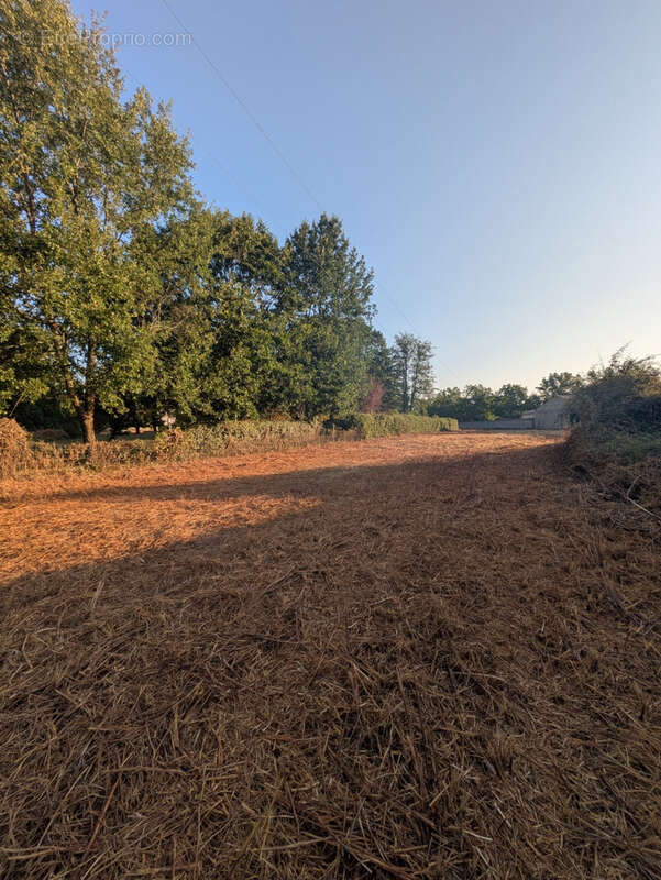 Terrain constructible de 1 793 m2   plat, non viabilisé - photo 6