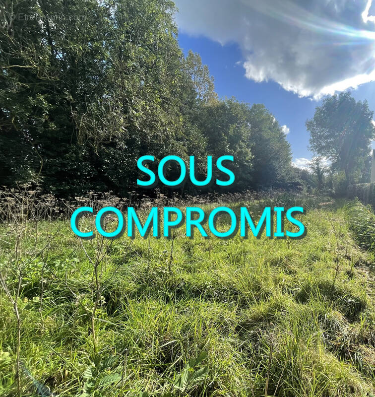 Terrain à PLACHY-BUYON