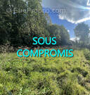 Terrain à PLACHY-BUYON