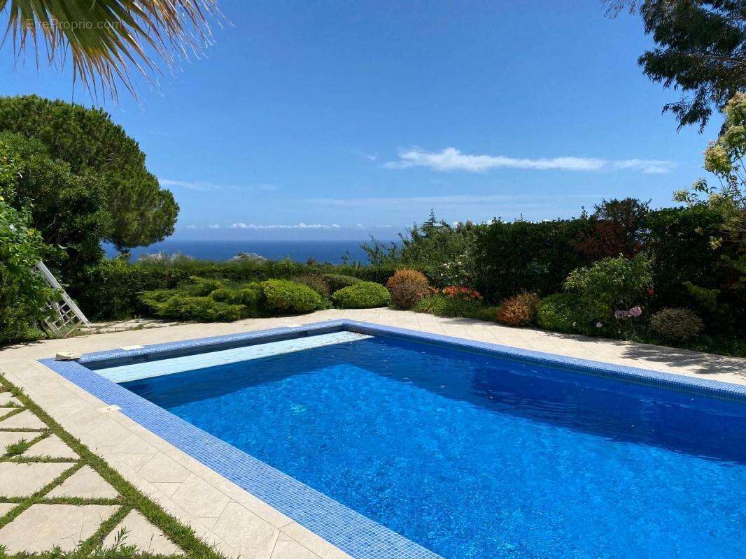 Maison à VILLENEUVE-LOUBET