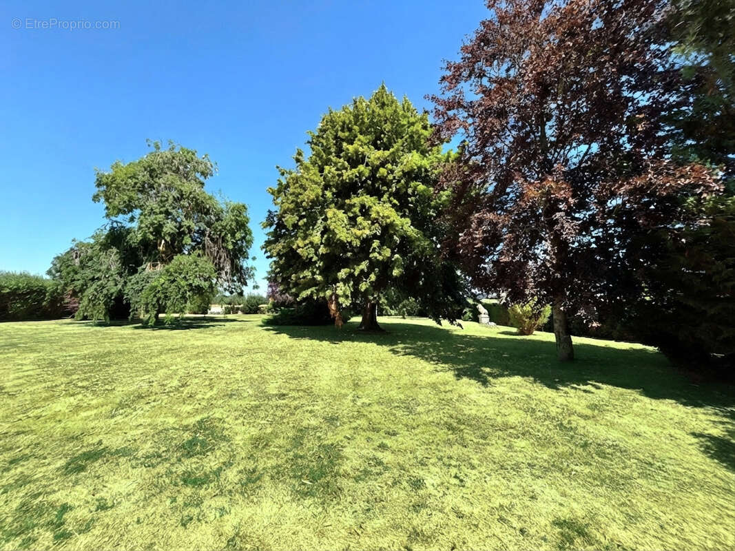 Une visite pour un coup de cœur ! - photo 9