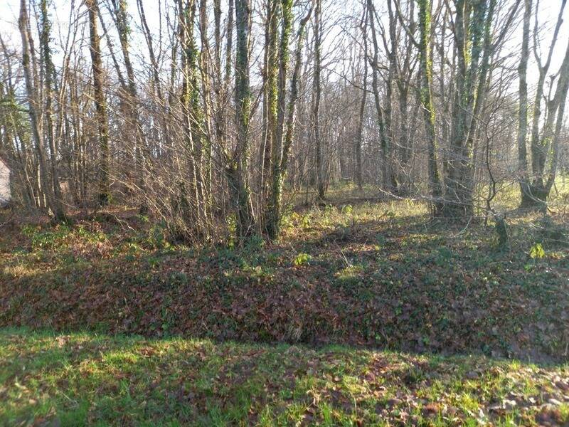 Terrain à SAINT-HILAIRE-LES-ANDRESIS