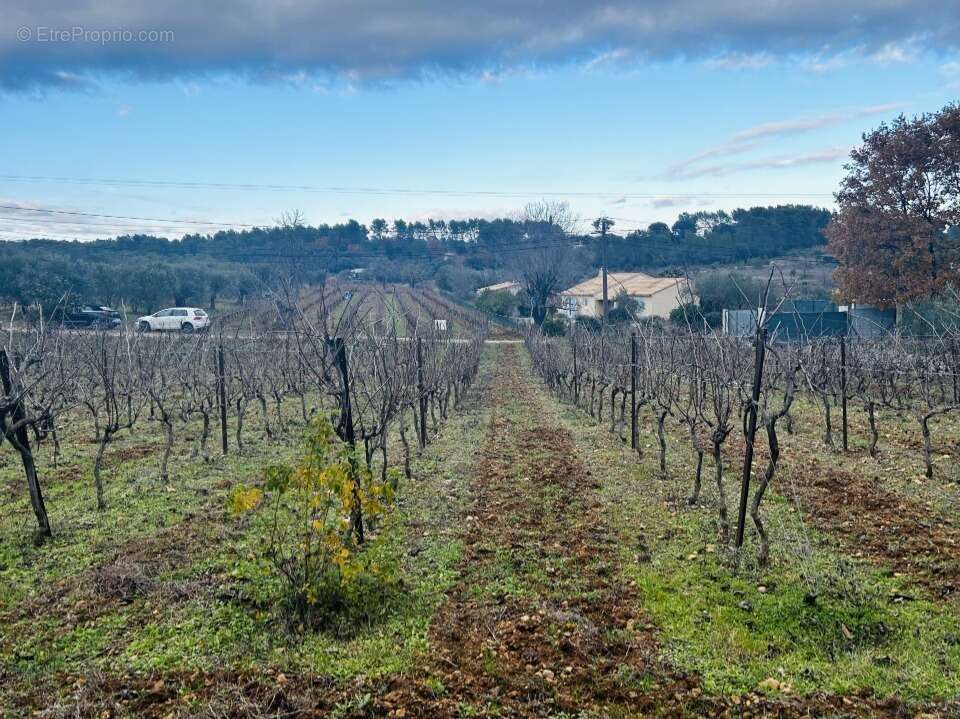 Terrain à LORGUES