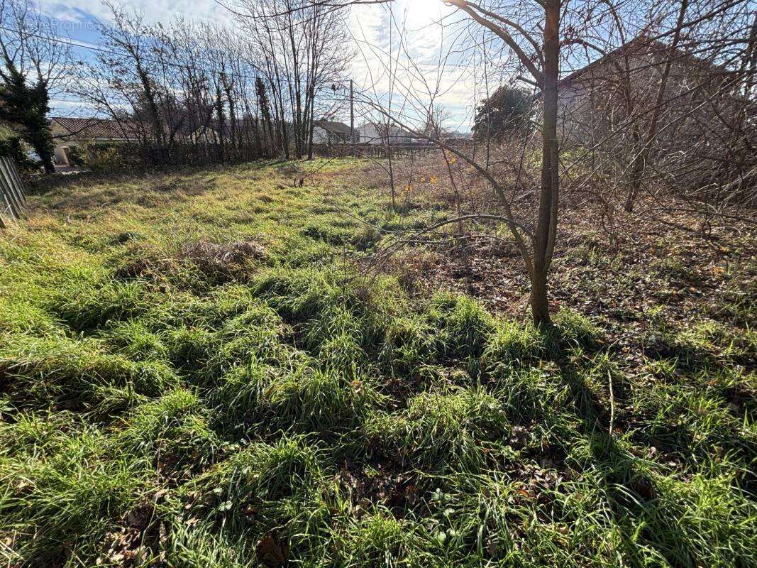 Terrain à REYSSOUZE