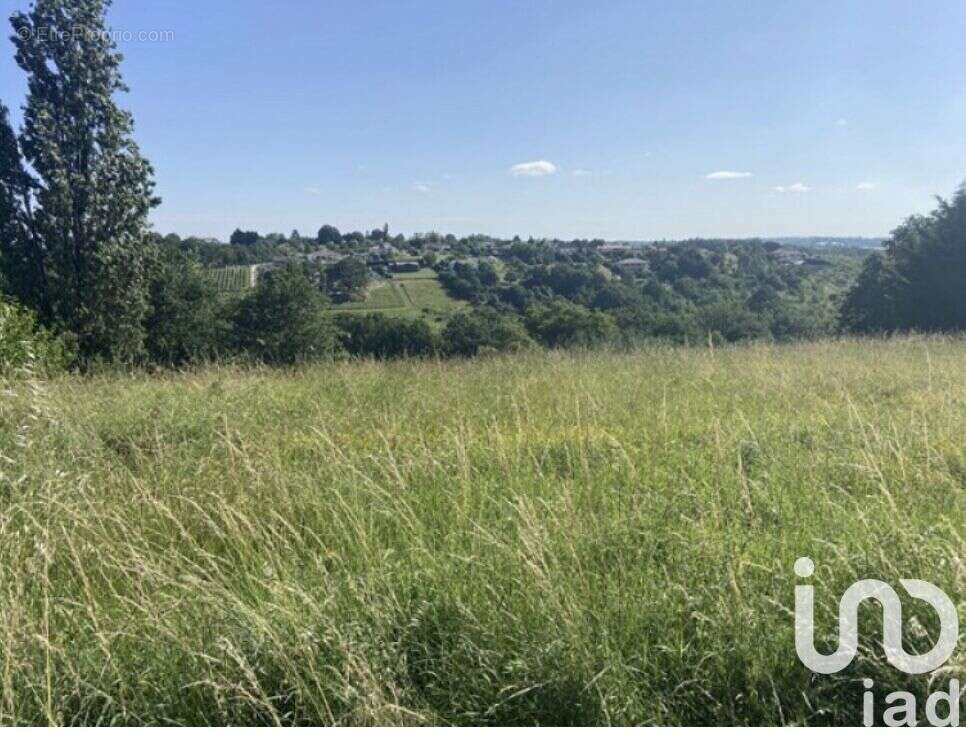 Photo 4 - Terrain à MOISSAC