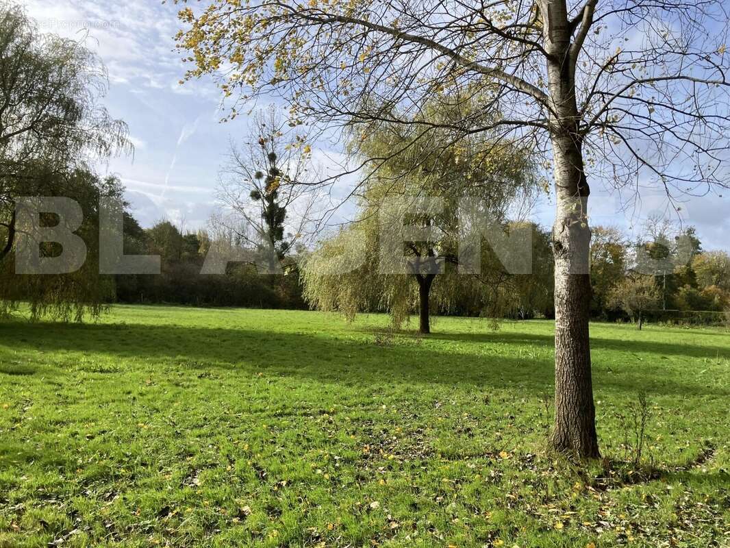 IMG_8058 - Terrain à LA FERTE-SOUS-JOUARRE