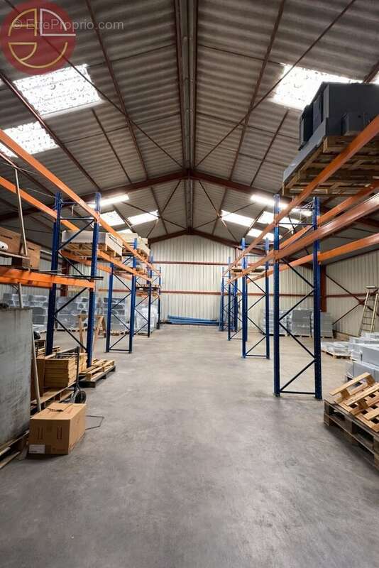 Commerce à PINS-JUSTARET