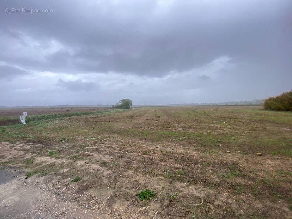Terrain à LIEURAN-LES-BEZIERS