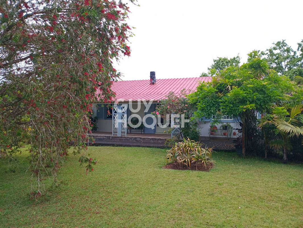 Maison à LA PLAINE-DES-PALMISTES