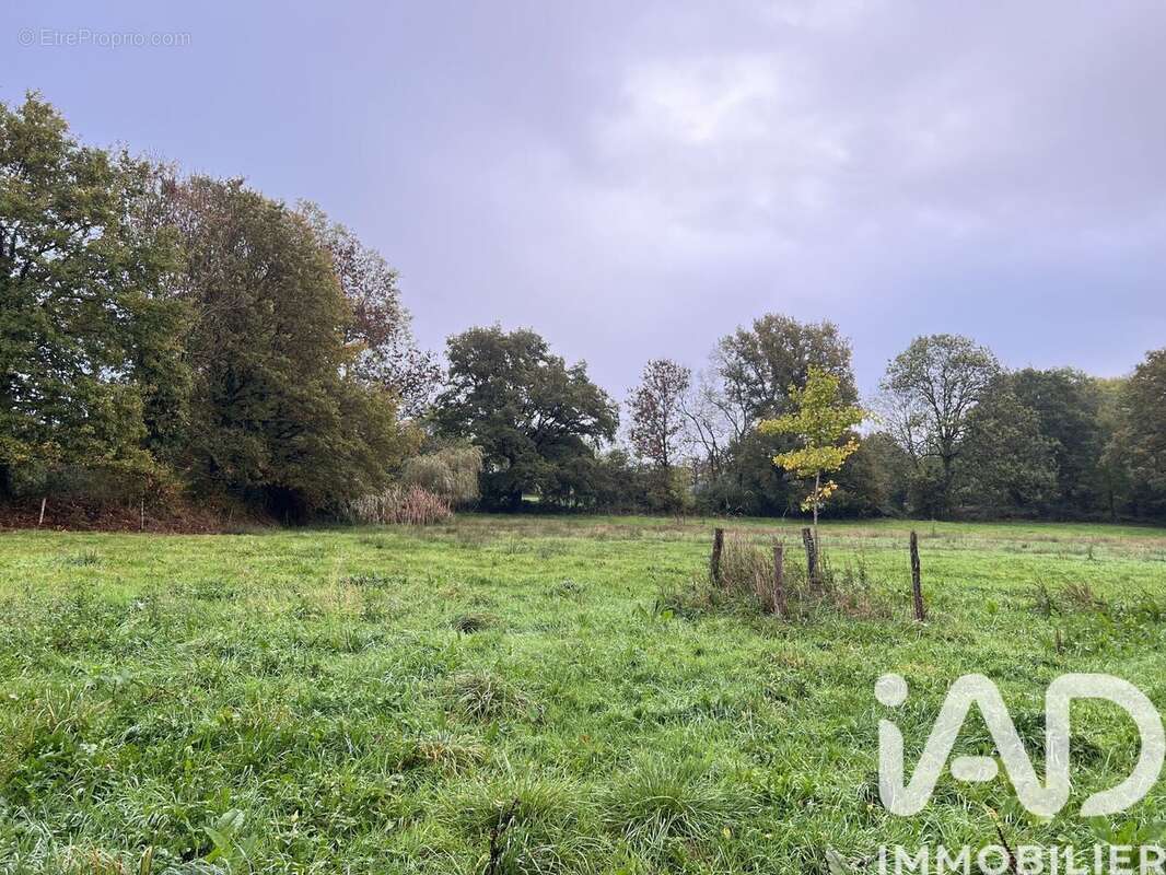 Photo 5 - Maison à LA FORET-SUR-SEVRE