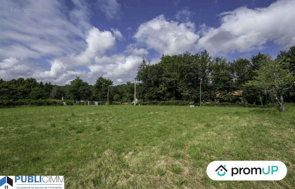 Terrain à SAINT-JUNIEN