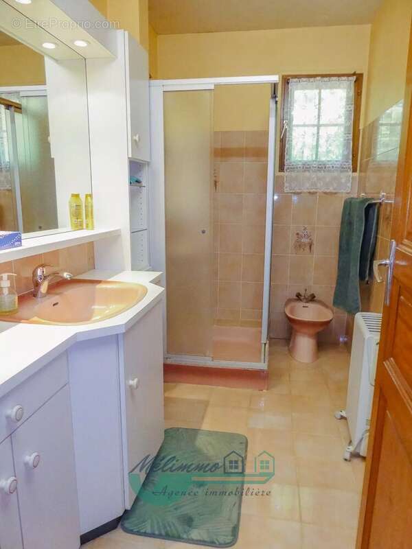 Maison 163 m² à Moutiers-En-Puisaye  - photo 7