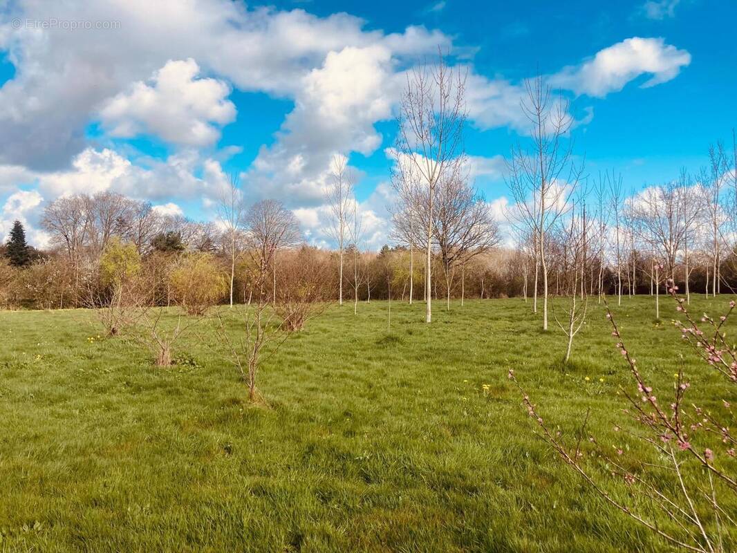 Photo 1 - Terrain à GROSBREUIL