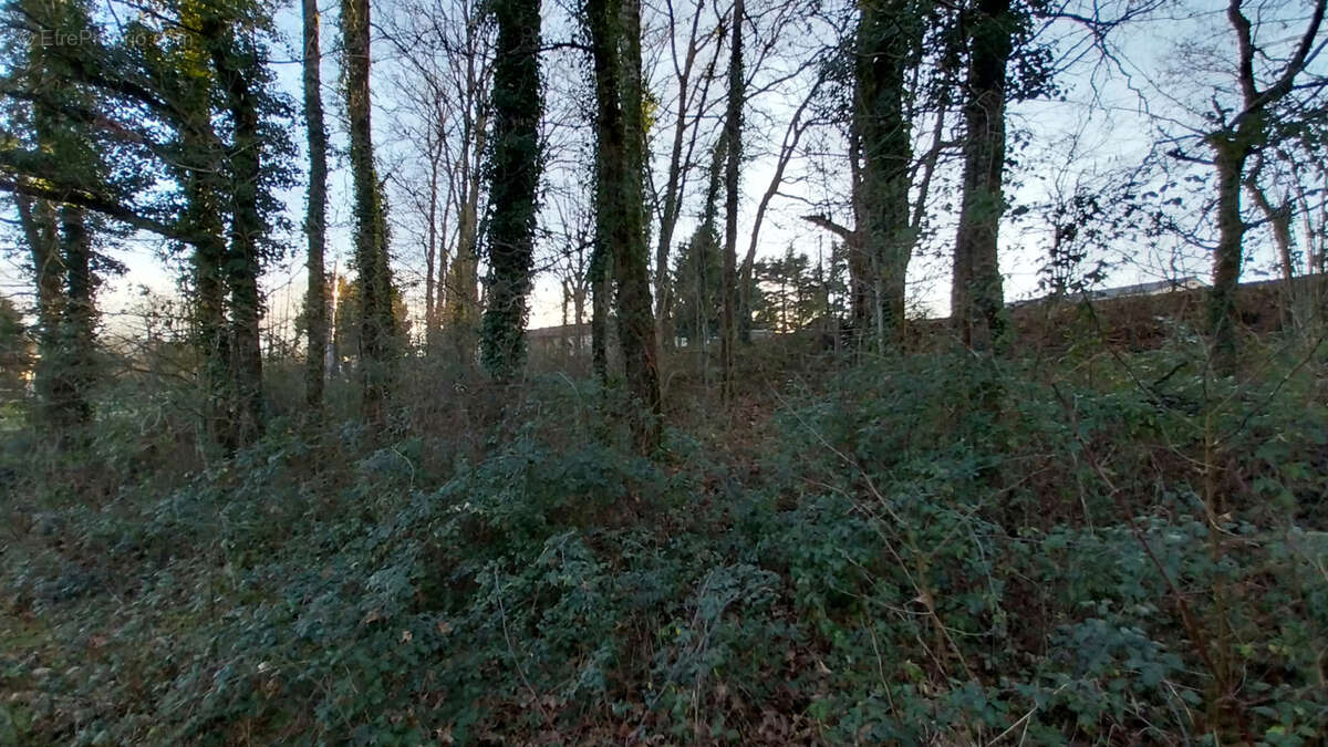 Terrain à CHATEAU-L'EVEQUE