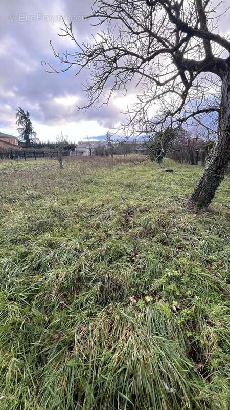 Photo 4 - Terrain à LA TOUR-DE-SALVAGNY