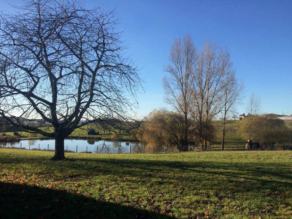 Terrain à LANOUAILLE