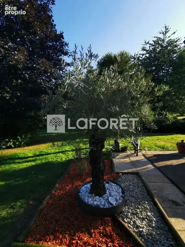 Maison 187 m²  4 cmabres - photo 4