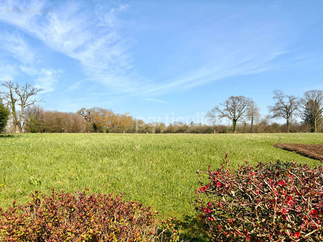Maison à LE MESNIL-ROUXELIN