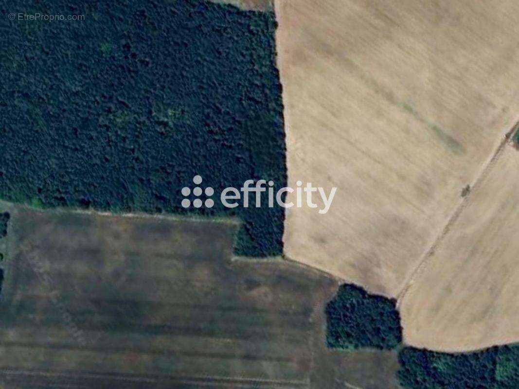Terrain à TRUYES