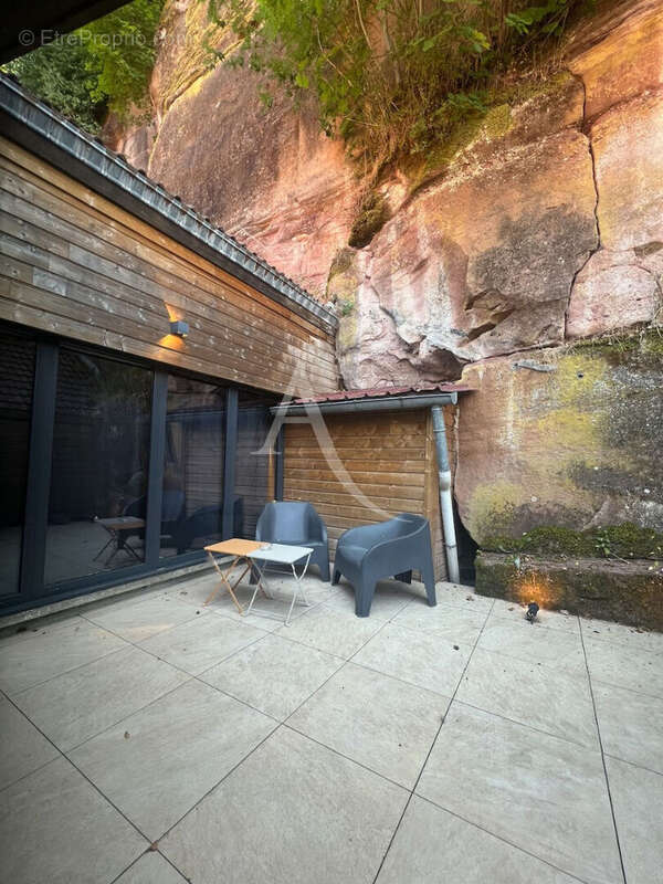 Loft Epinal  + activité rémunératrice. - photo 12