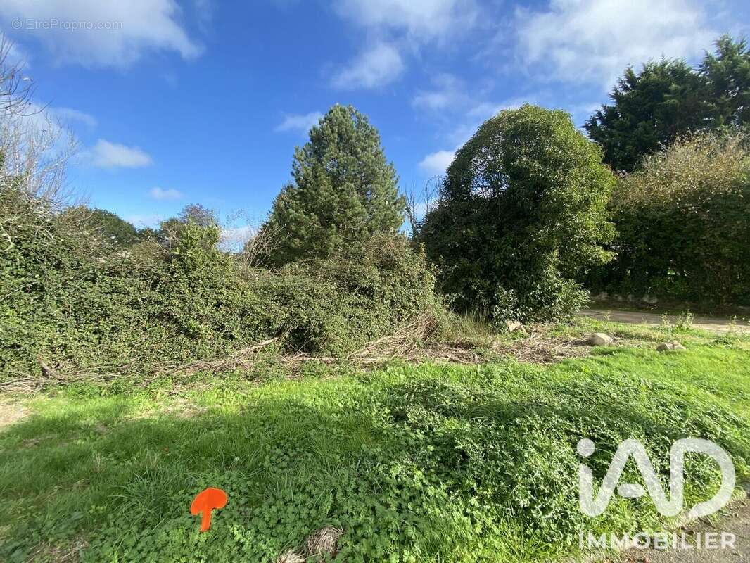 Terrain 337 m² à Landeronde  - photo 4