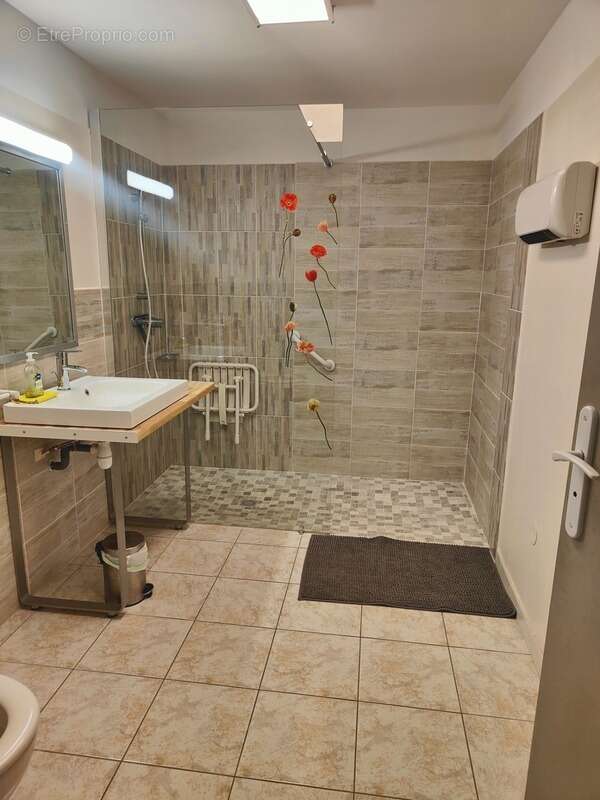 Maison à vendre 13 pièces MONS (34) - photo 17