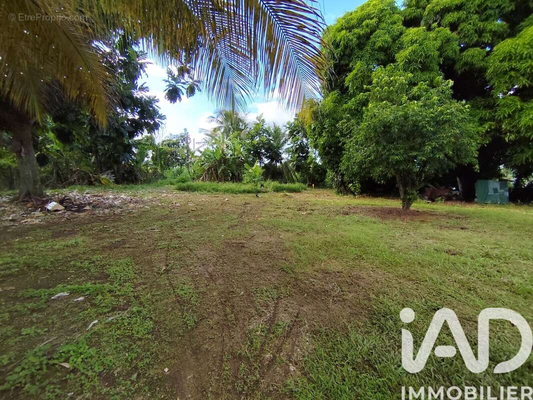 Photo 2 - Terrain à SAINTE-ROSE