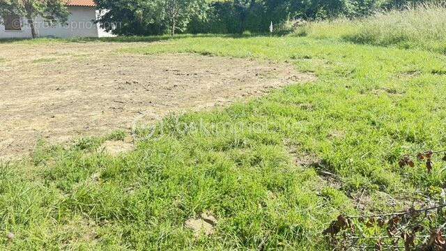 Terrain à RABASTENS