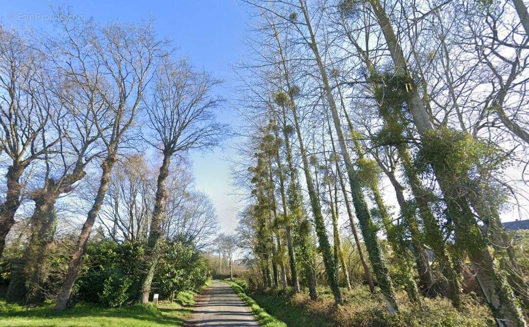 Terrain à bâtir de 287 m² à MONTAUBAN-DE-BRETAGNE (35) - photo 3