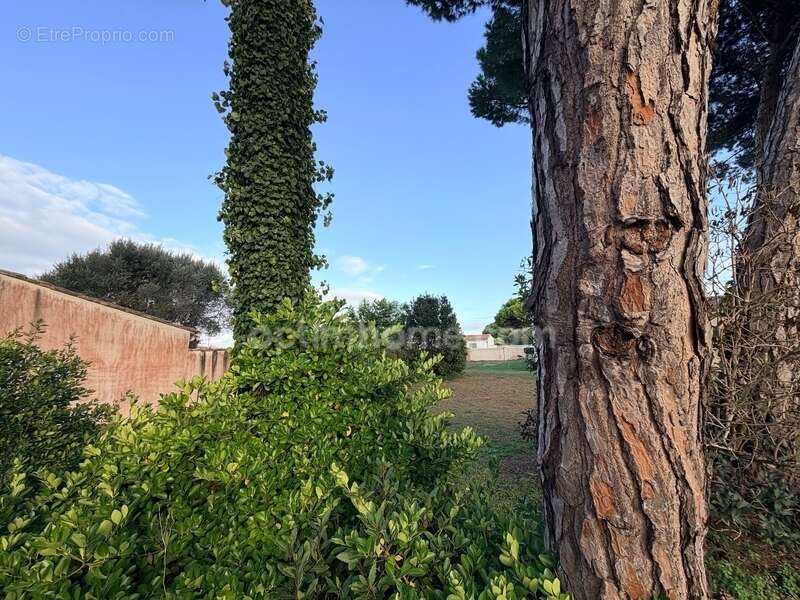 Terrain à LE BOIS-PLAGE-EN-RE