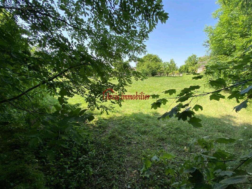 Terrain à ARCIS-SUR-AUBE