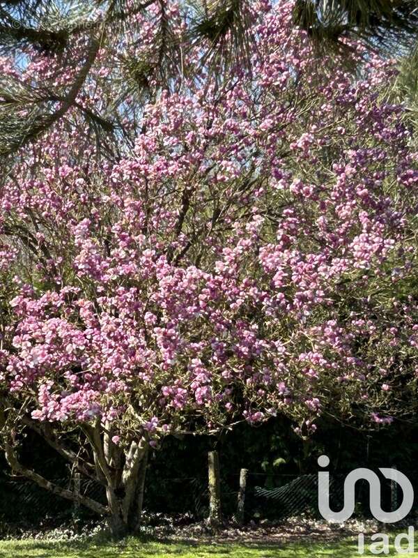 Photo 7 - Maison à CORNEVILLE-SUR-RISLE