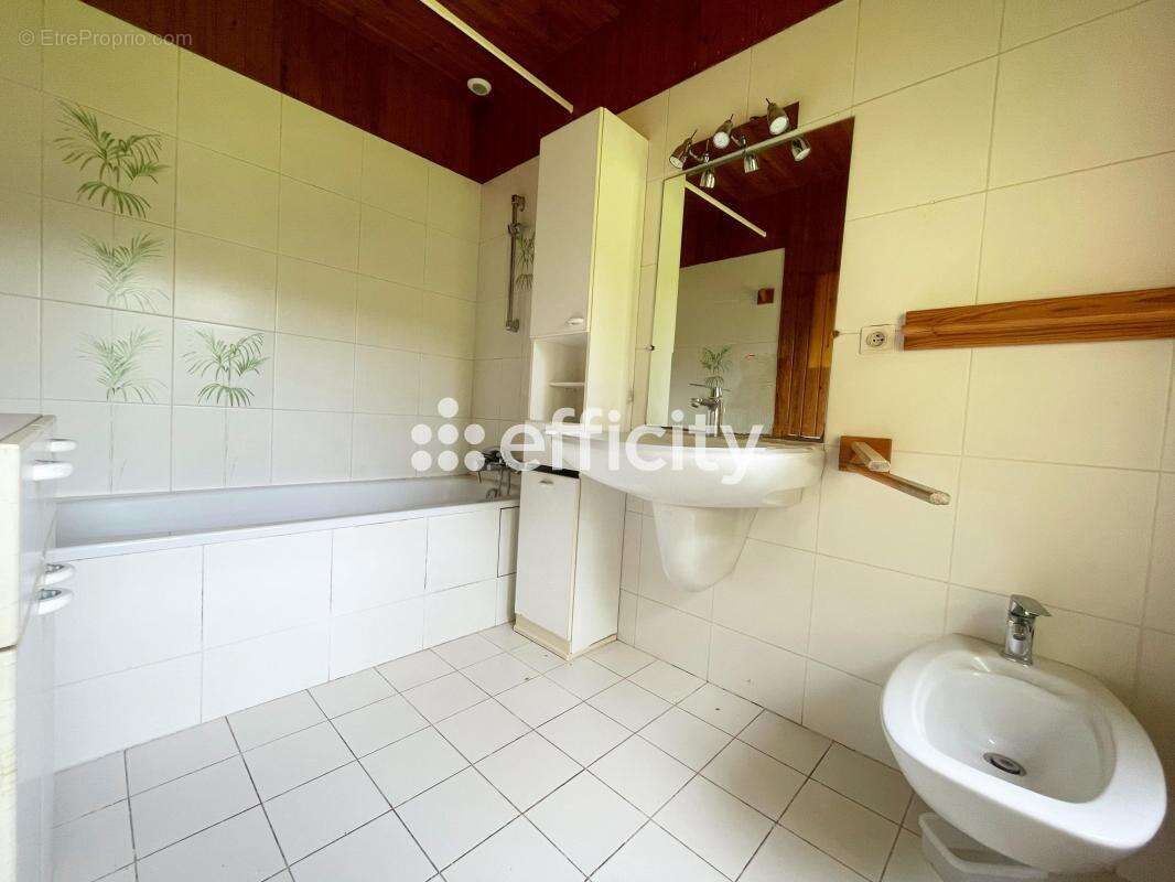 Maison 225 m² à Le Mas-D'azil  - photo 7
