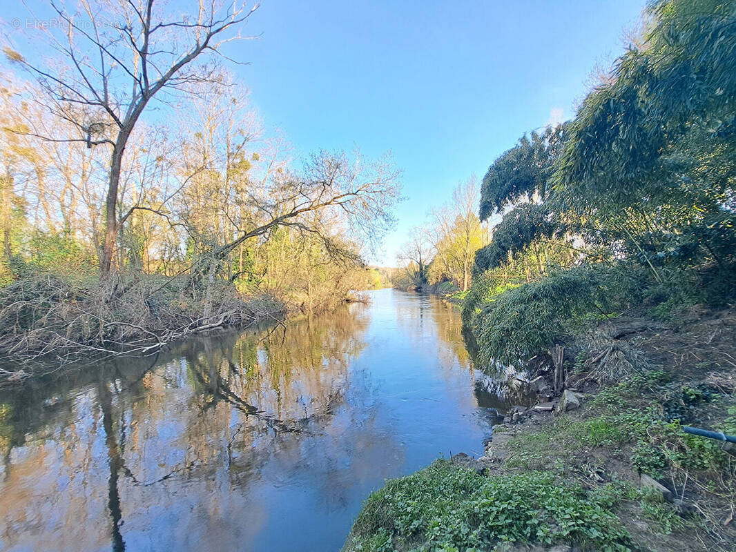 Terrain à VOUNEUIL-SUR-VIENNE
