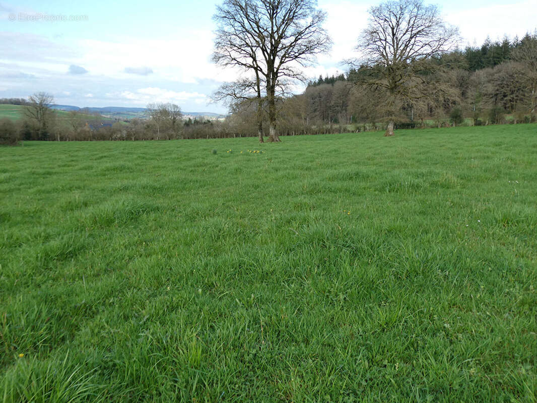 Maison à SAINT-PIERRE-SUR-ORTHE