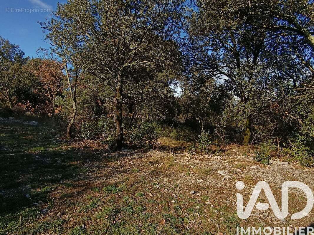 Photo 2 - Terrain à LES VANS