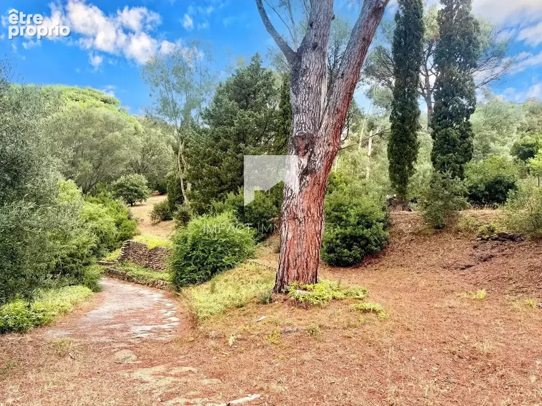 Cavalaire -  Maison 220 m² plus bergerie sur 7500m² de terrain - photo 18