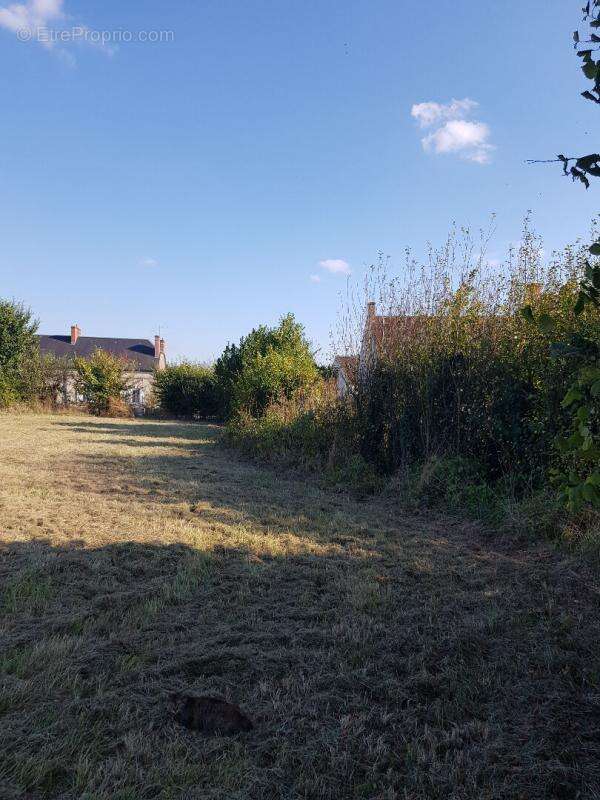 Terrain La Cour Marigny 1 313  m2 - photo 7