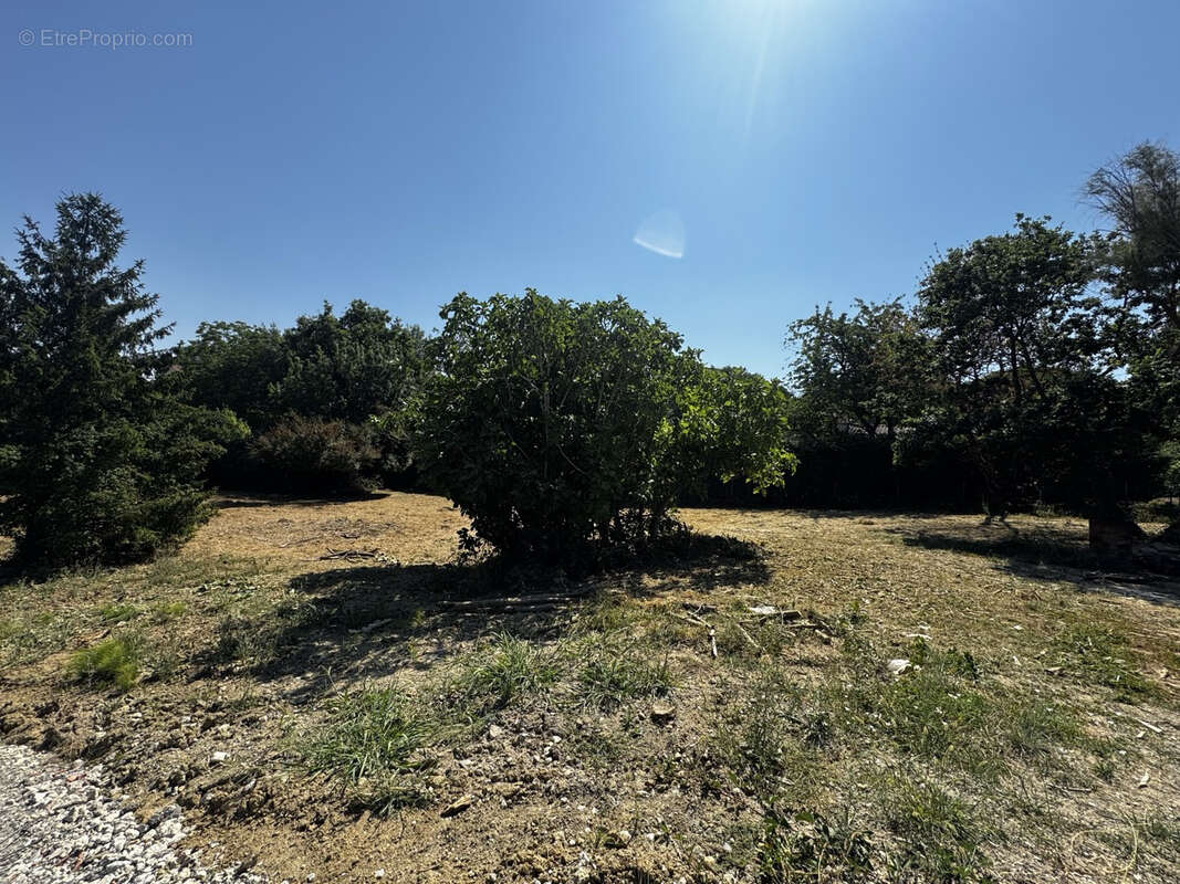 Rarissime ! Grande parcelle de terrain à bâtir dans un cadre naturel exeptionnel. - photo 4
