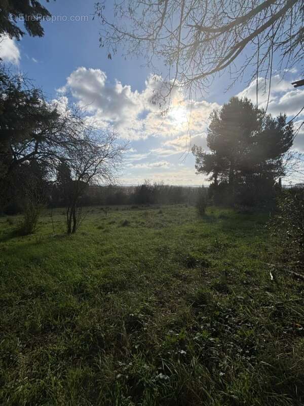 Terrain à VILLEPINTE