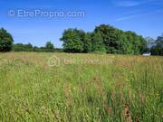 Terrain à CARROUGES