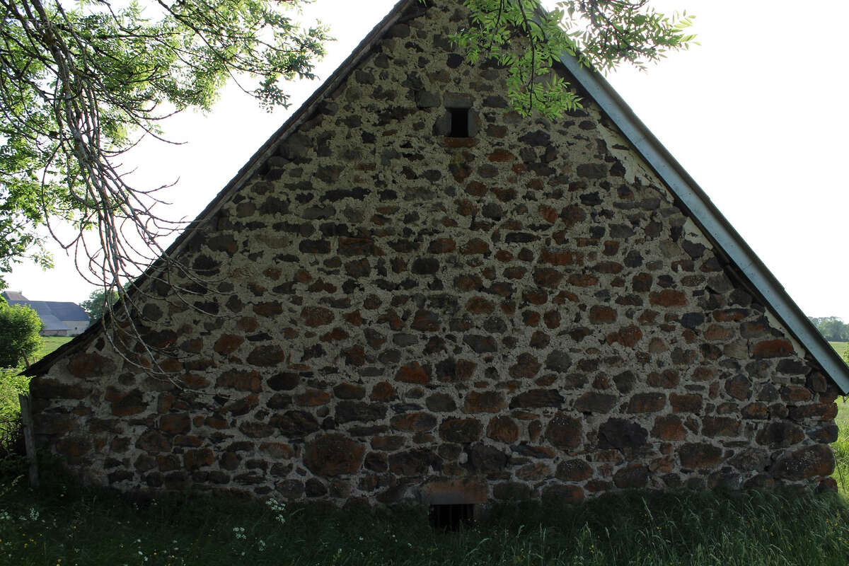 Maison à ANGLARDS-DE-SALERS