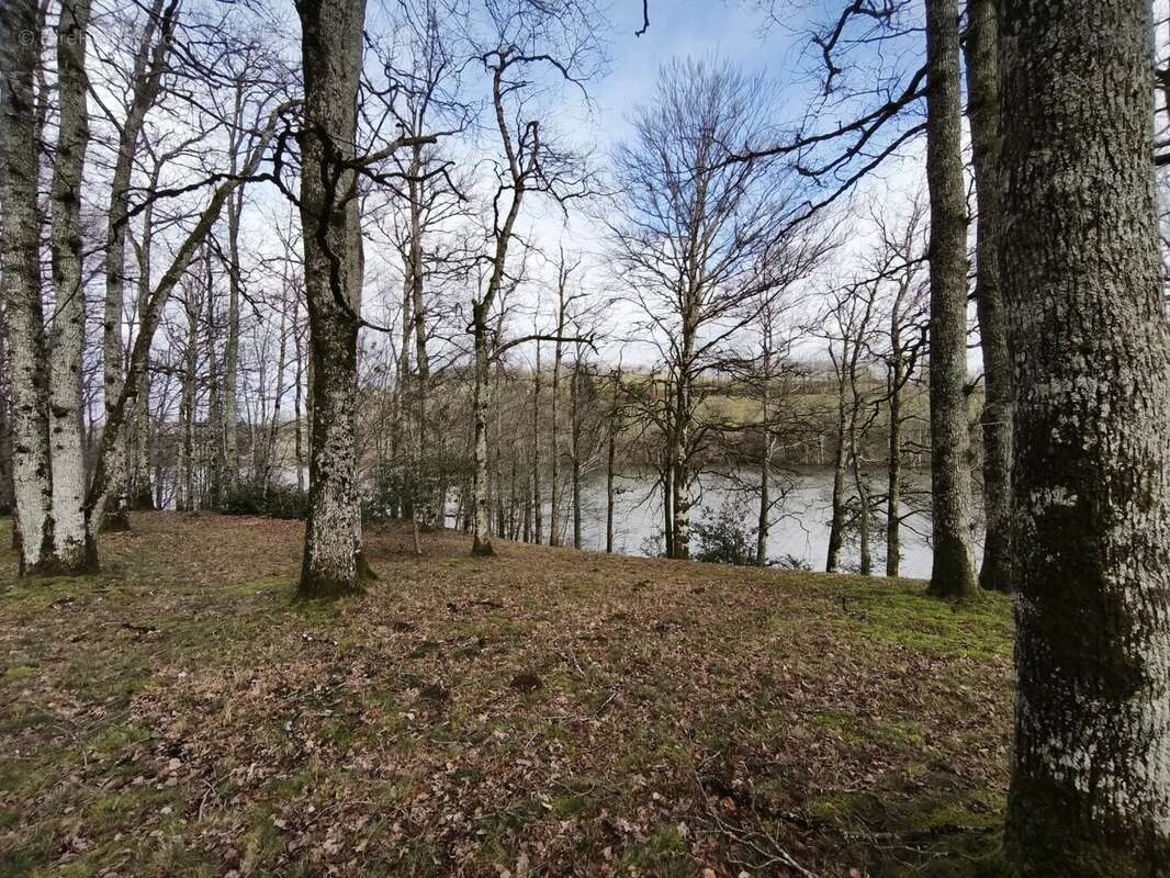 Terrain à PONT-DE-SALARS