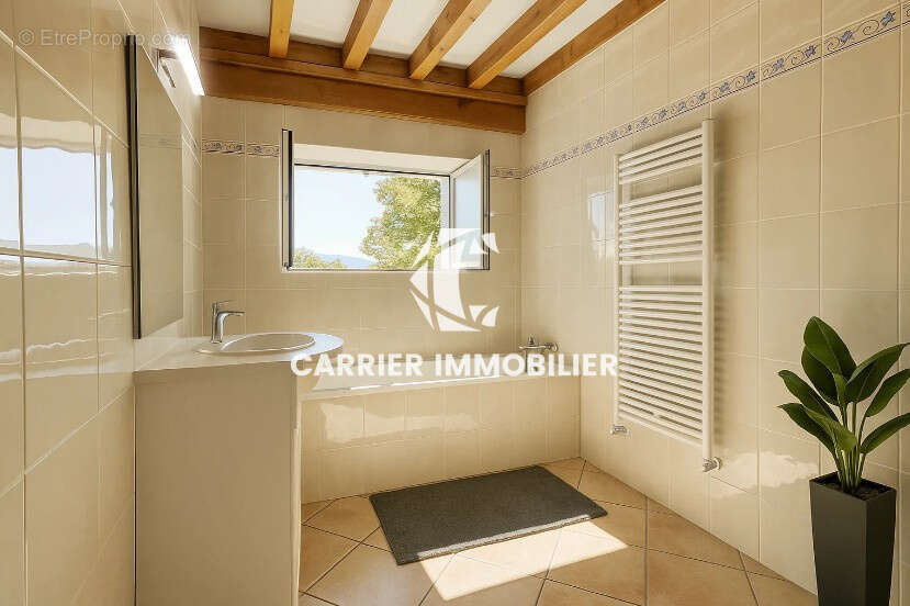 Maison à BRUSSIEU