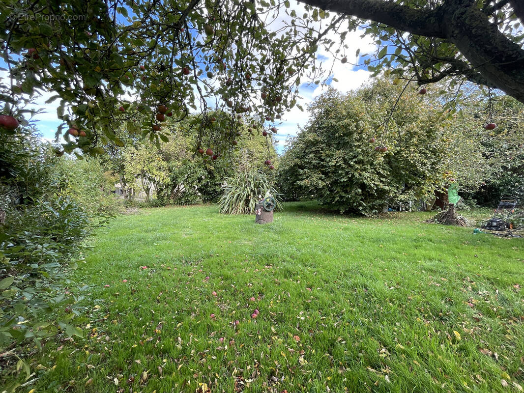 Terrain à SAINT-MANVIEU-NORREY