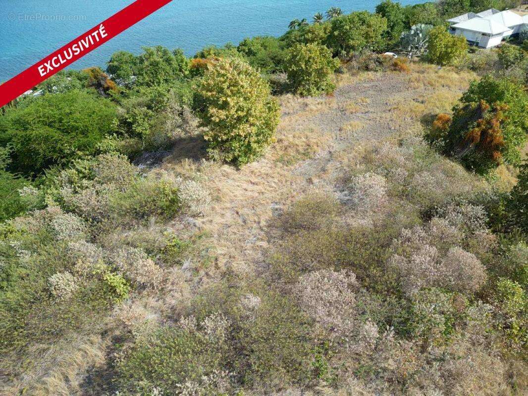 Terrain à LE VAUCLIN