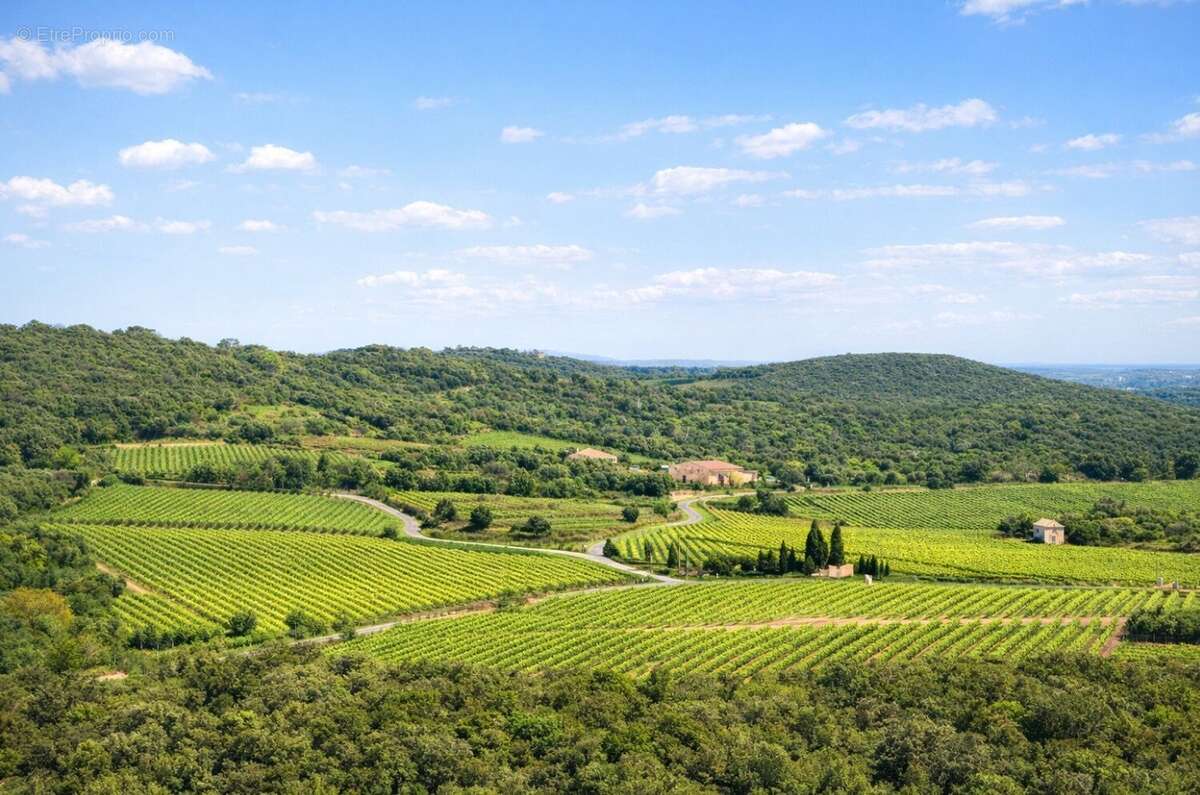 Photo 9 - Maison à FAUGERES