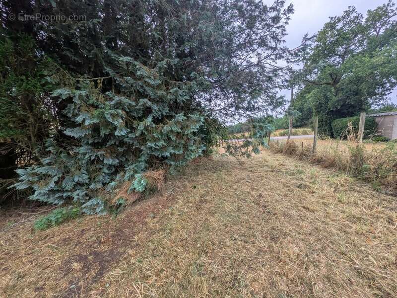 Plouay en campagne ensemble immobilier composé d' une maison de 45m² habitable, une grange de 33 m², un bâtiment en pierre de 91 - photo 18
